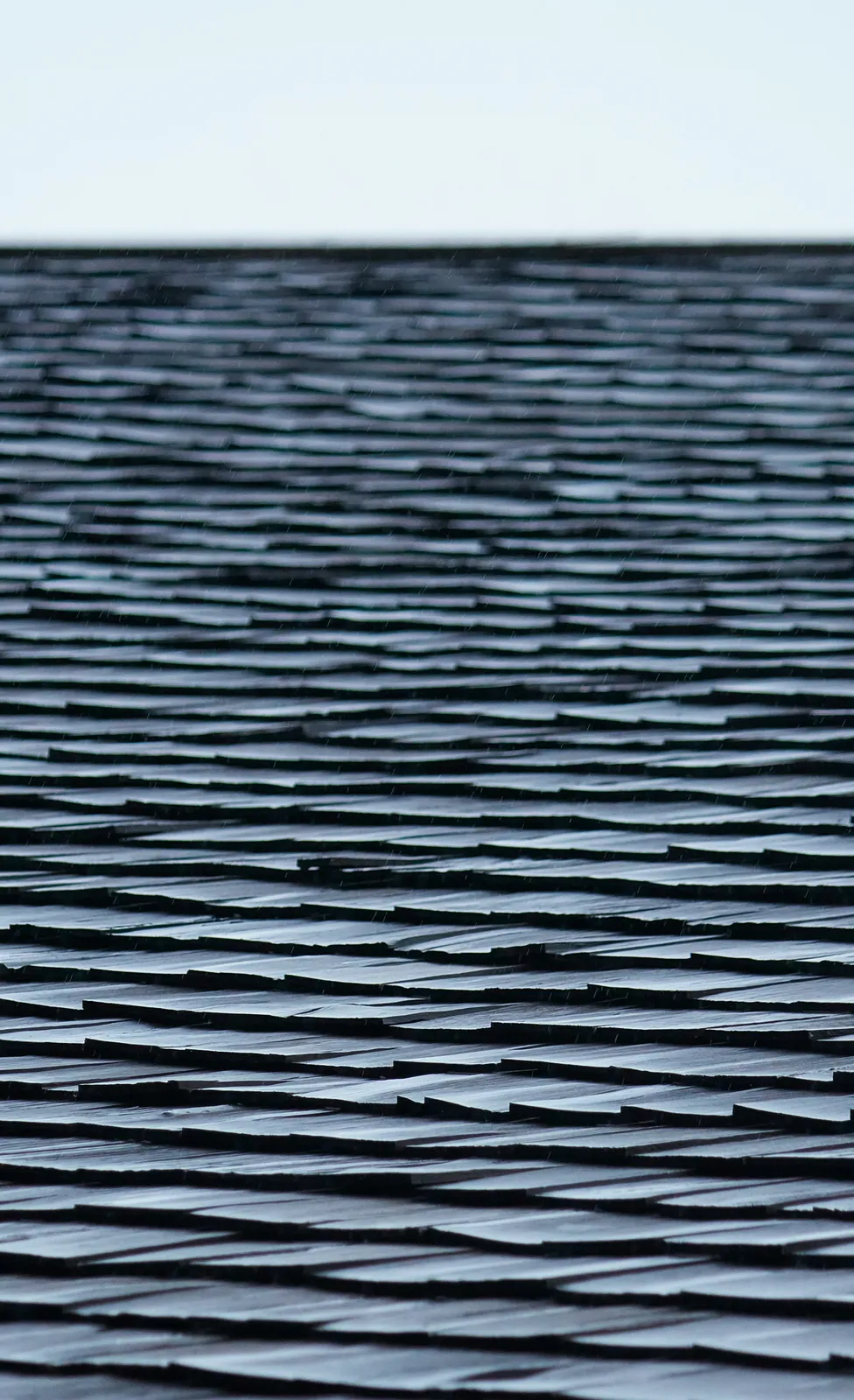 Asphalt shingle roof surface