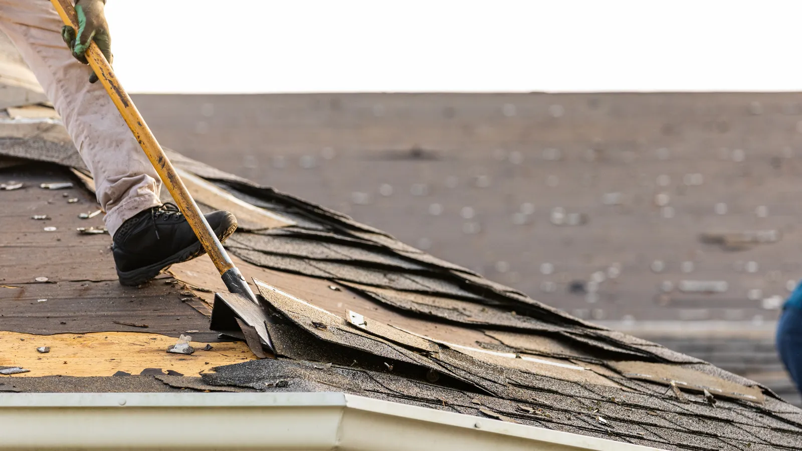 Roofer lifting old shingles with a shovel beside exposed roof decking