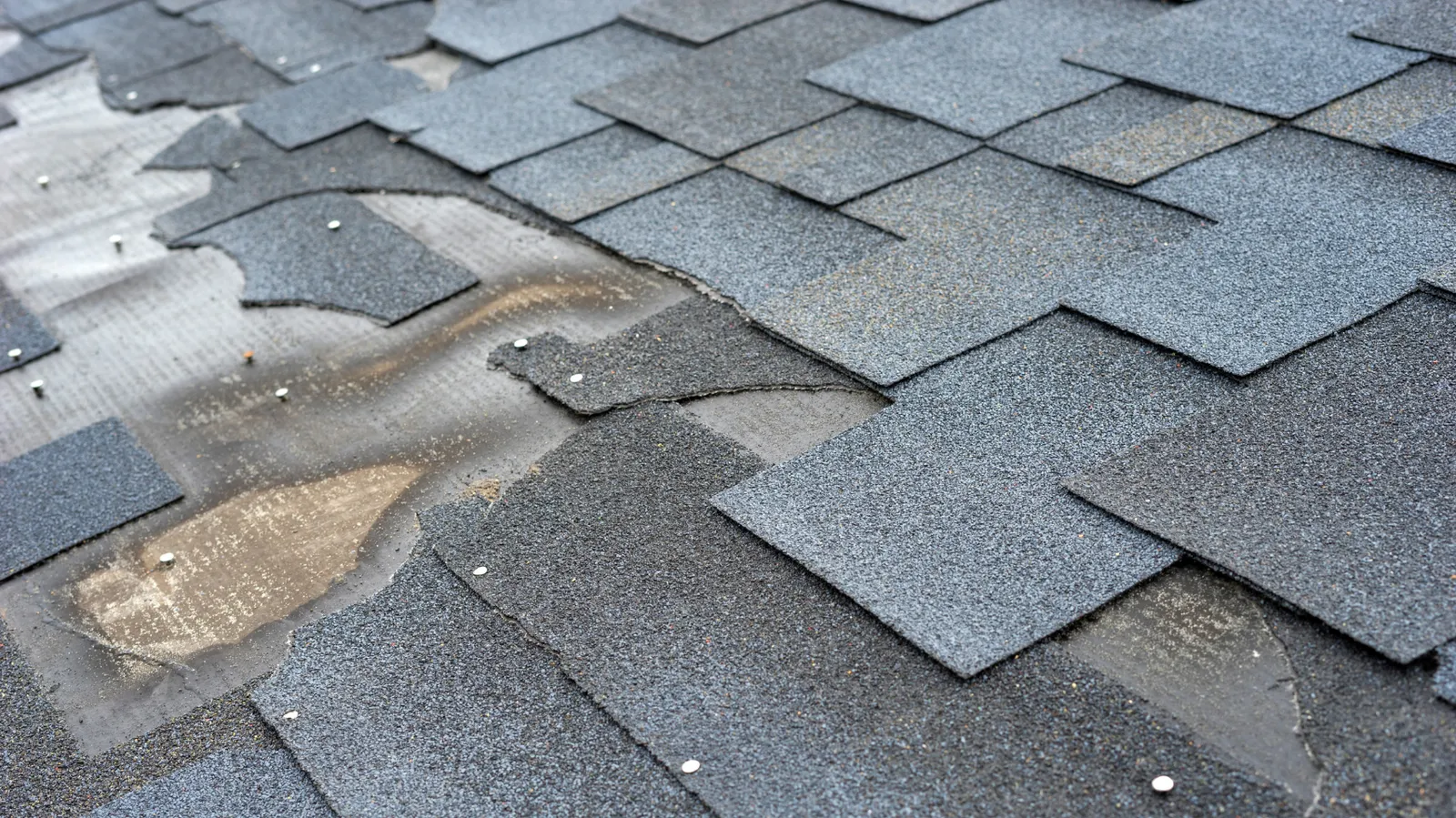 Underlayment and nail heads exposed where shingles are torn away on a roof